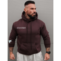 BLUZA MĘSKA BAWEŁNIANA Z KAPTUREM ORZEŁ OLAVOGA EAGLE BROWN